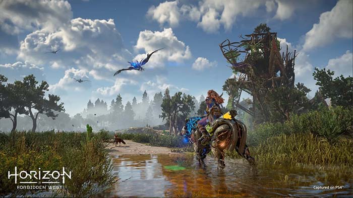 Horizon Forbidden West CPY